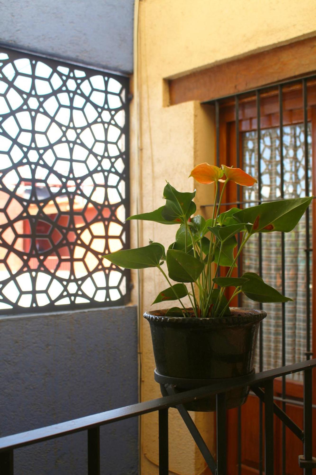 Casa Rosa Mexicano Oaxaca Exterior foto