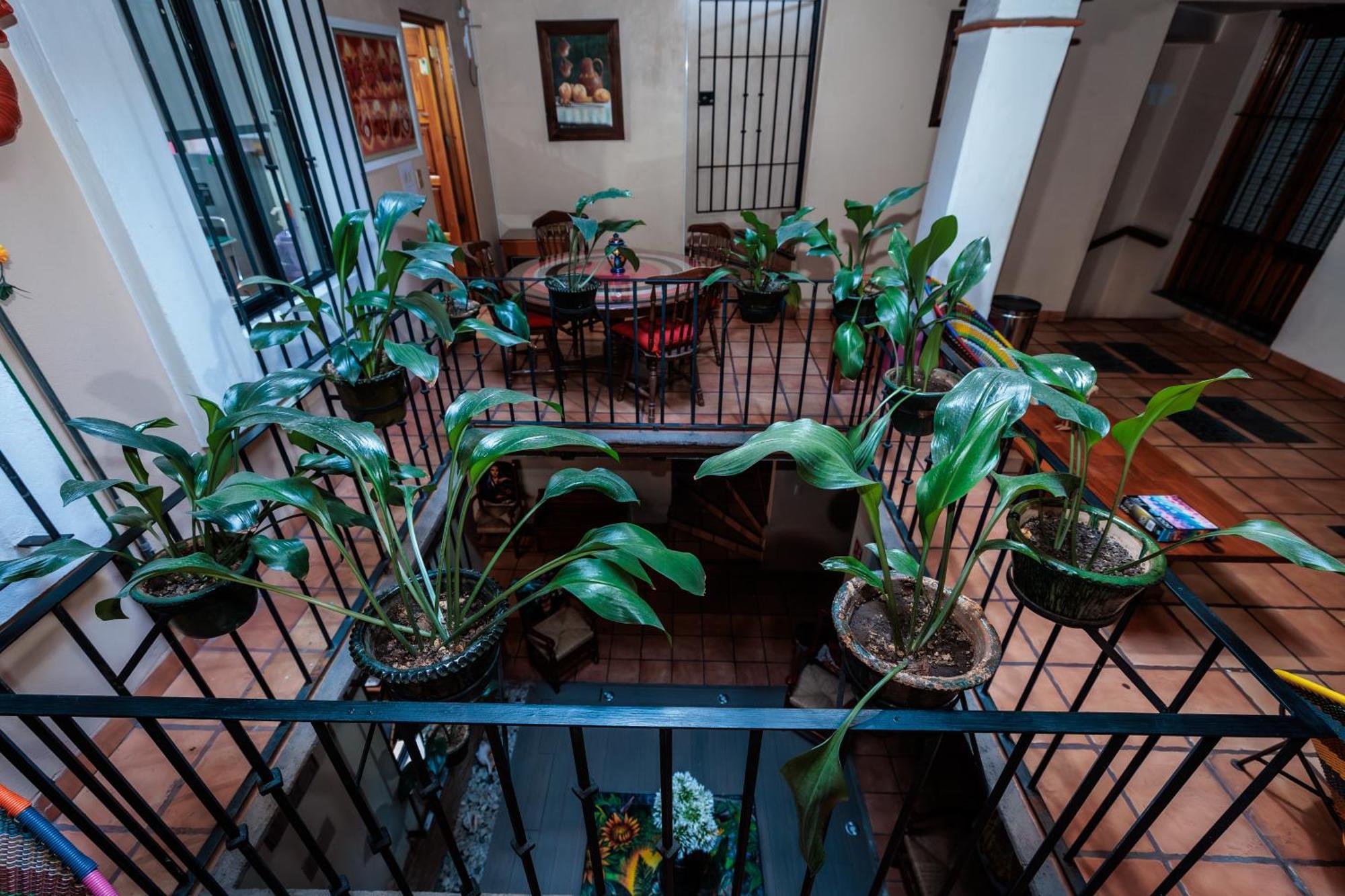Casa Rosa Mexicano Oaxaca Exterior foto